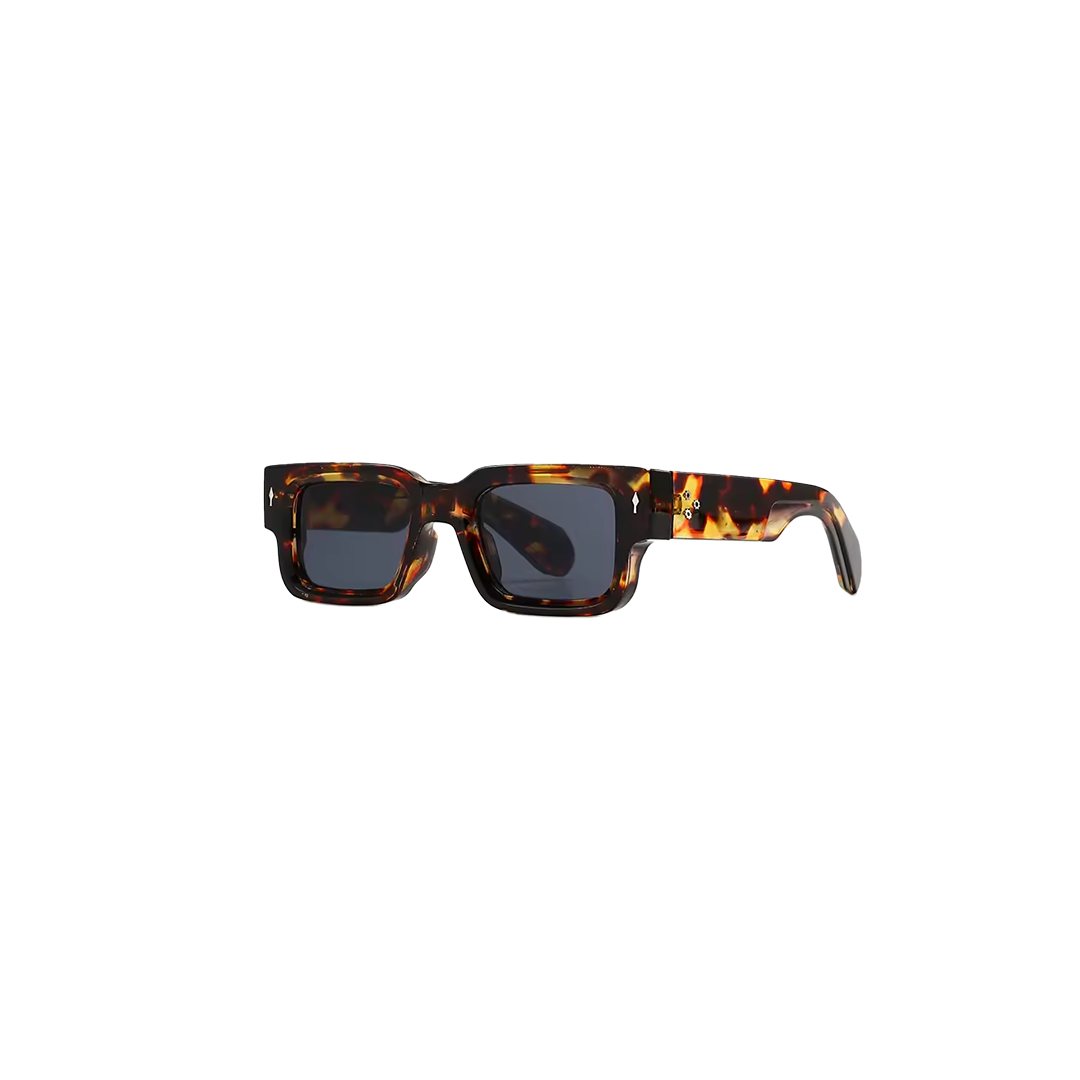 Summer Sun Tortoise — studio